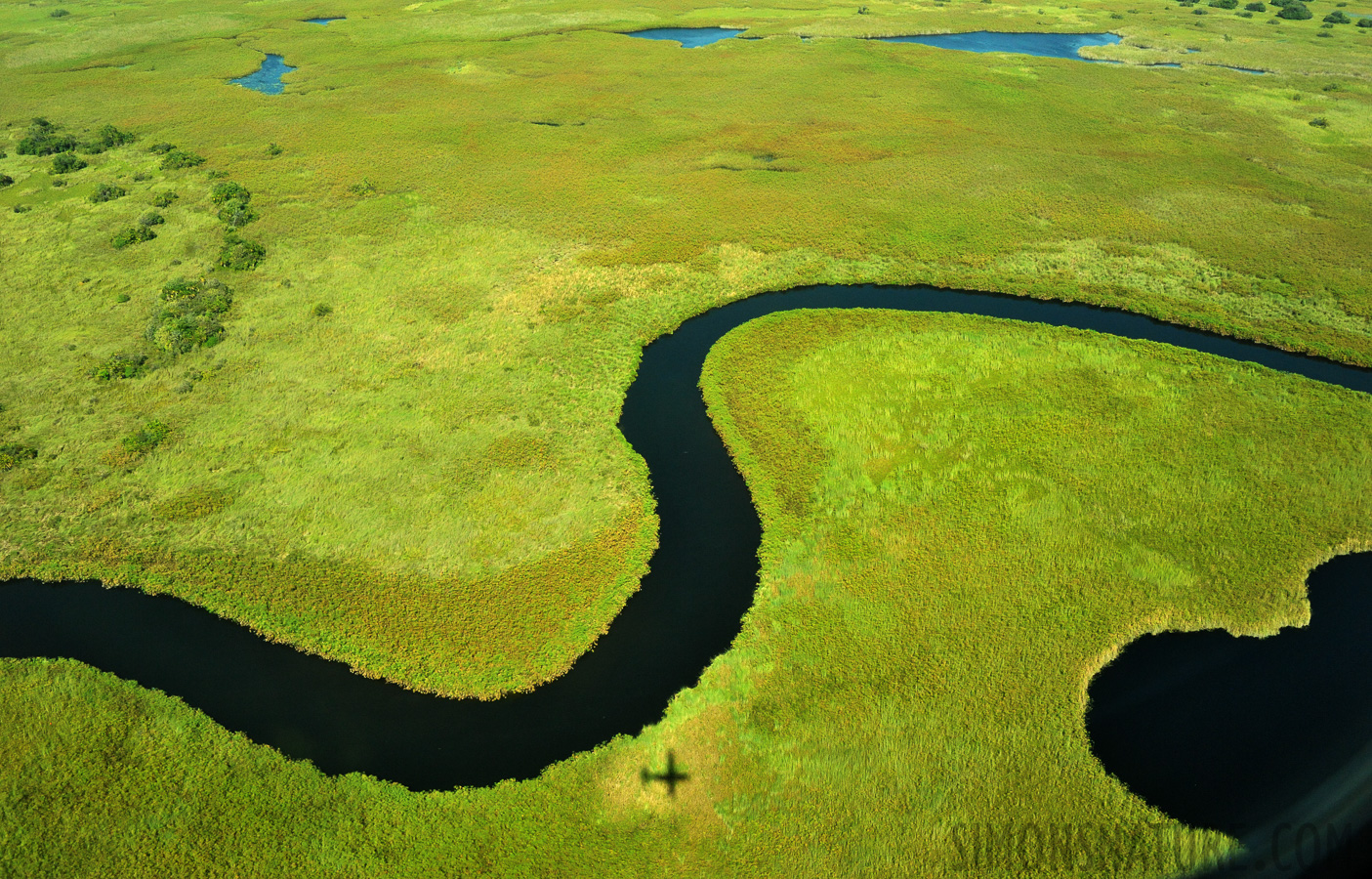 Okavango Delta May 2014 [28 mm, 1/2500 sec at f / 8.0, ISO 2500]
